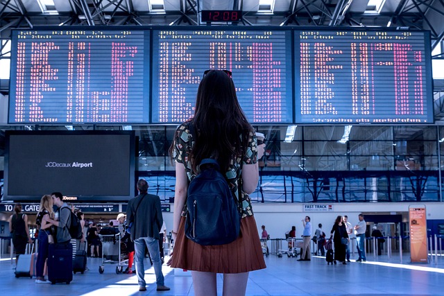 Guide pour organiser un voyage écoresponsable